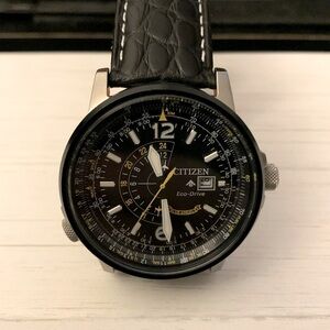 Citizen Blue Angel Watch
